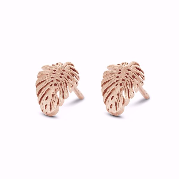 Bilde av Tropic Stud,  rose