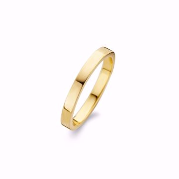 Bilde av Raw Ring Polished, gullforgylt