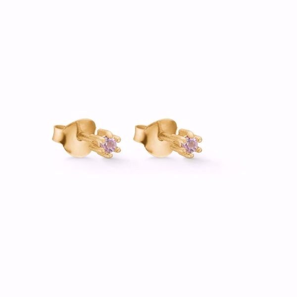 Bilde av Stud Petite Gem Amethyst, gullforgylt 