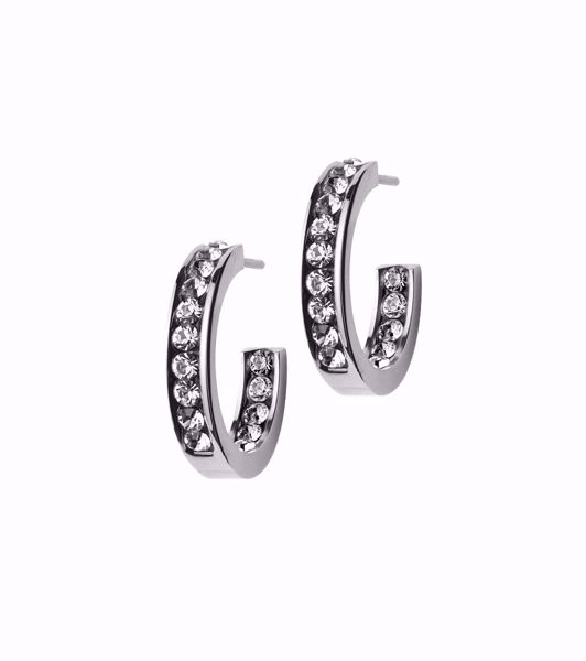 Bilde av 105848 ANDORRA EARRINGS MINI STEEL