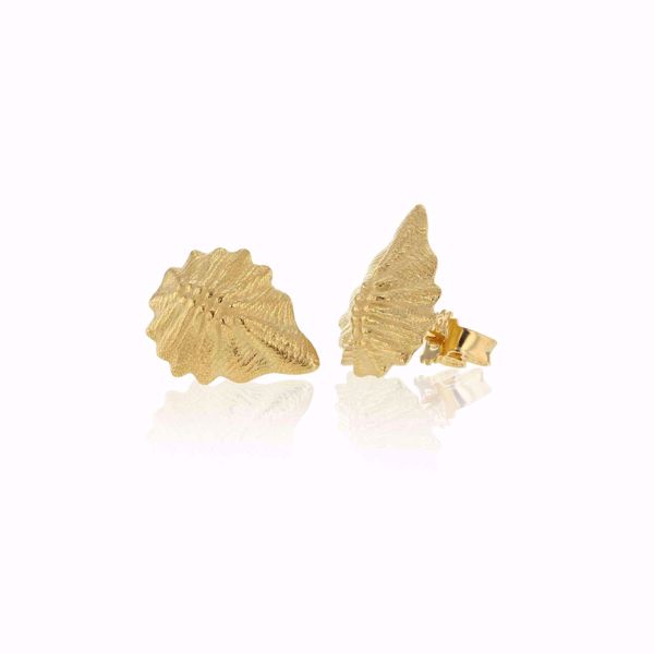 Bilde av SEASHELL BIRTH OF VENUS GOLDPLATED EARRINGS