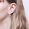 Bilde av WOODS, DECIDUOUS HOOPS SILVER