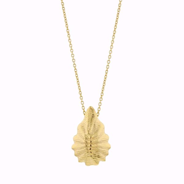Bilde av SEASHELL CONCH GOLDPLATED NECKLACE 45 CM