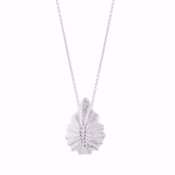 Bilde av SEASHELL CONCH SILVER NECKLACE 45 CM