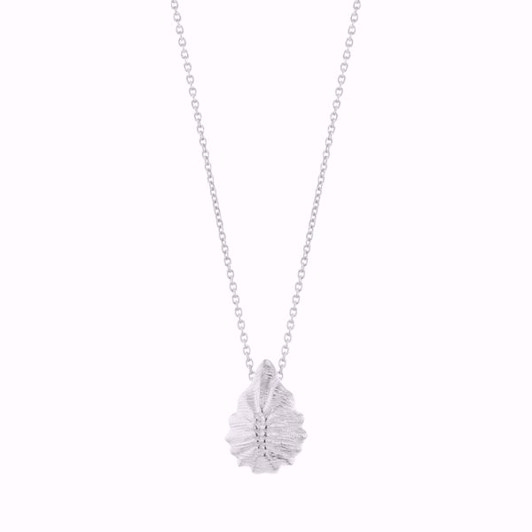Bilde av SEASHELL BIRTH OF VENUS SILVER NECKLACE 50 CM