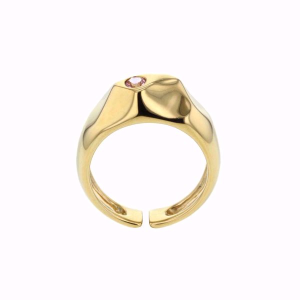 Bilde av ELEMENTS MULTIPLICITY RING GOLDPLATED W. NANO GEM