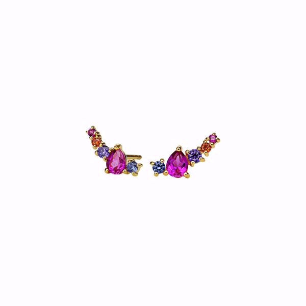 Bilde av 9613A Ivonne Earring