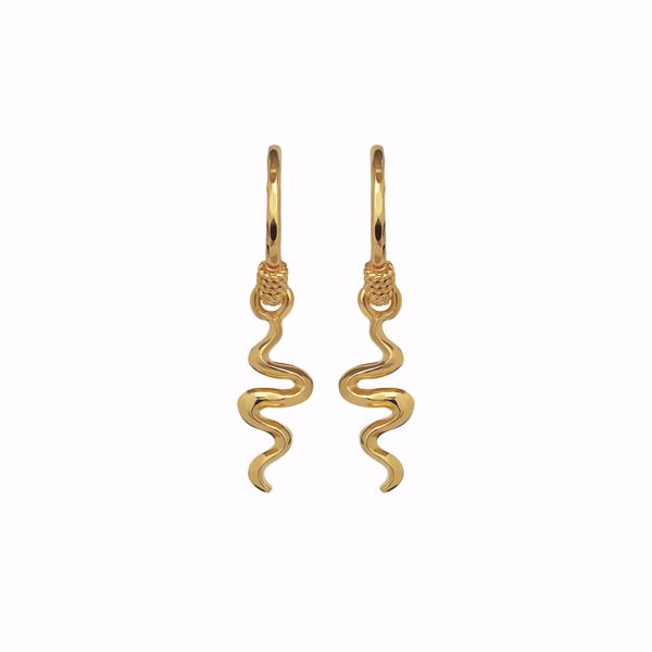 Bilde av 9579A Aryah Earrings