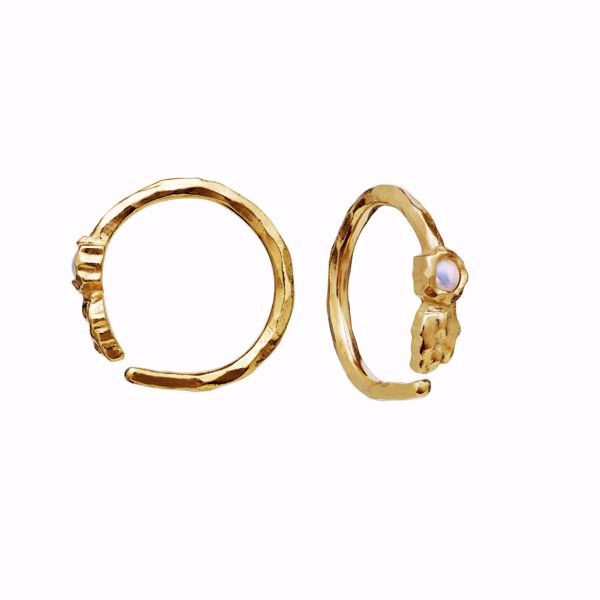 Bilde av 9659A Florus Earrings