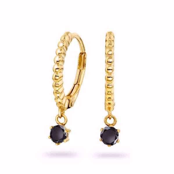 Bilde av JANNE FORMOE ØREDOBBER I FORGYLT SØLV MED SORT ZIRKONIA (38146)