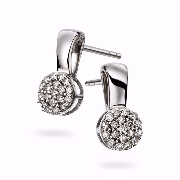 Bilde av ØREDOBBER HVITT GULL MED DIAMANTER 0,12CT WP (59147)