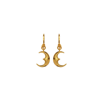 Bilde av Moonie Earring