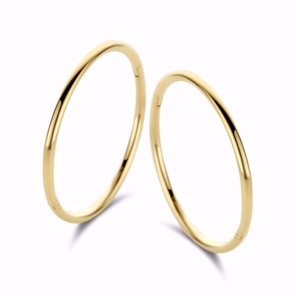 Bilde av Imagine Hoop Gull 14K - Medium