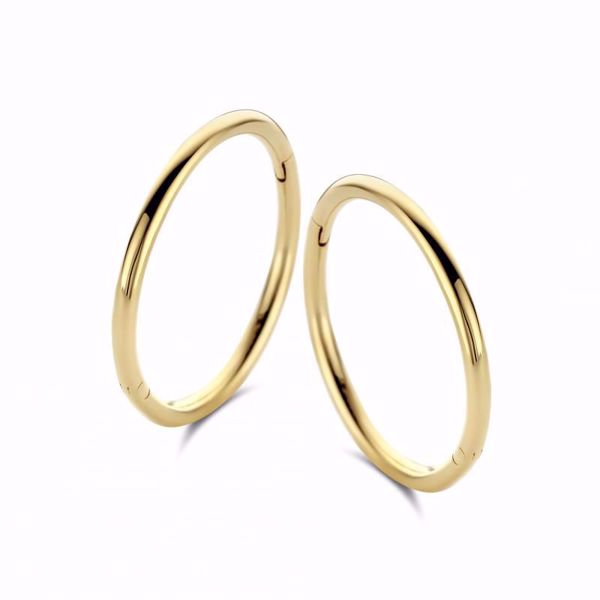 Bilde av Imagine Hoop Gull 14K - Small