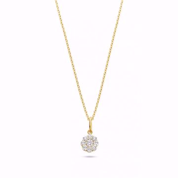 Bilde av Vanity Pendant - 585 gult gull 0,34 ct. WVS