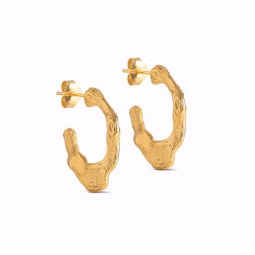 Bilde av Earring Liliana - Goldplated