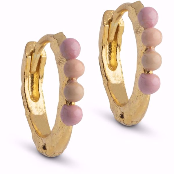 Bilde av Hoops Paula Tropical Goldplated