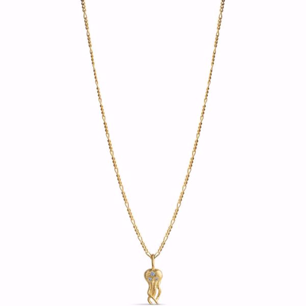 Bilde av Necklace Jellyfish Goldplated