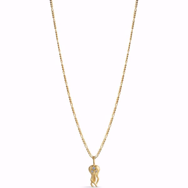 Bilde av Necklace Jellyfish Goldplated