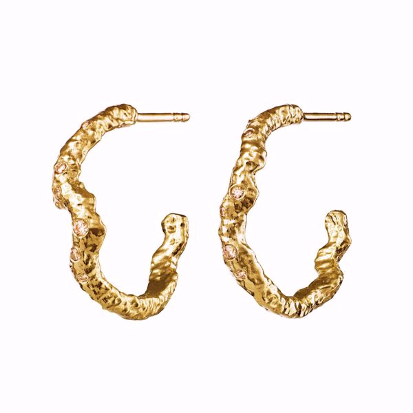 Bilde av Janine Grande Earrings Goldplated