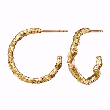 Bilde av Janine Grande Earrings Goldplated