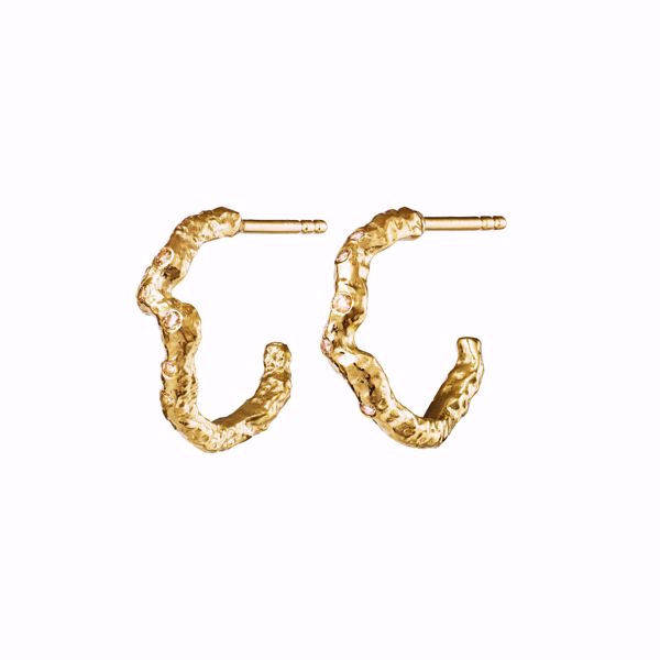 Bilde av Janine Medi Earring Goldplated