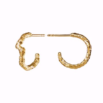 Bilde av Janine Medi Earring Goldplated