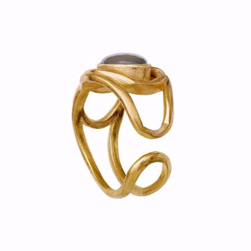 Bilde av Naomi Ring Goldplated