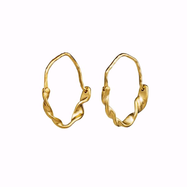 Bilde av Rosie Earrings Goldplated