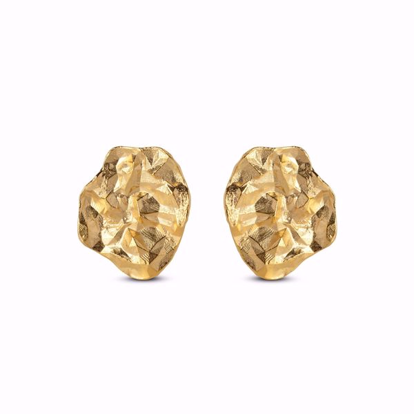 Bilde av Studs Windy Goldplated