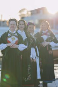Bilde for kategori Bunadsølv