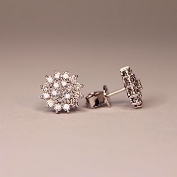 Snowflake Diamantøredobber - 585 hvitt gull 0,65 ct. TWP1. Miljøbilde.