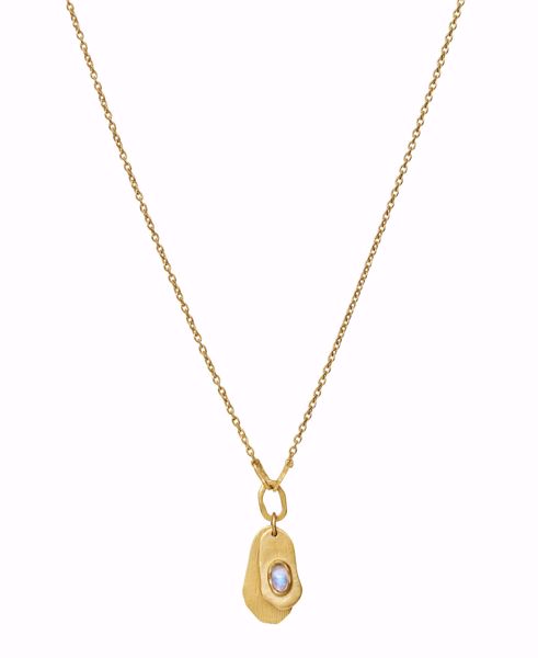 Bilde av Aju Necklace - Goldplated