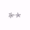 Bilde av Mynte Earrings - Silver