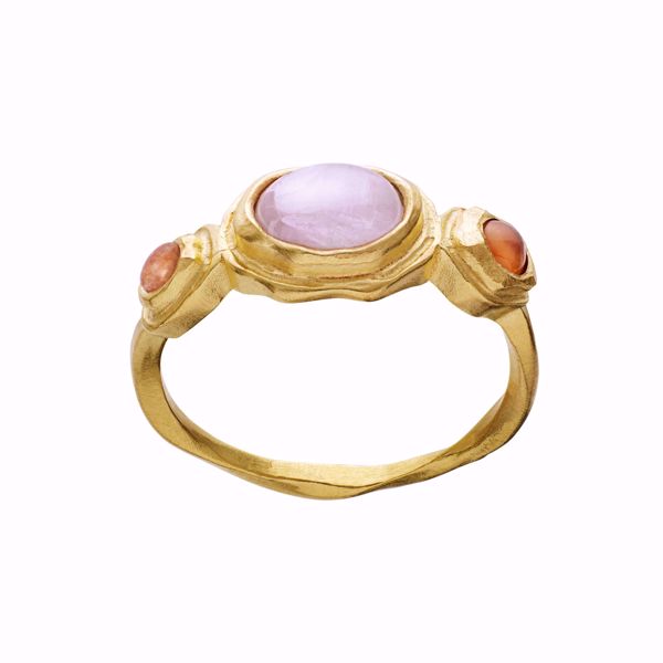 Bilde av Nemo Ring - Goldplated