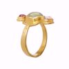 Bilde av Sara Ring - Goldplated