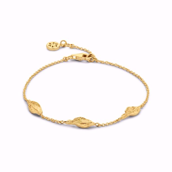 Bilde av Fall Bracelet Goldplated