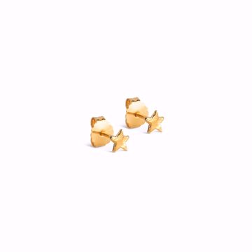 Enamel Copenhagen Øredobber Star Energy. Forgylt sølv. 